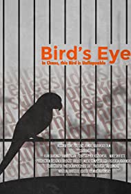 Bird's Eye (2020)