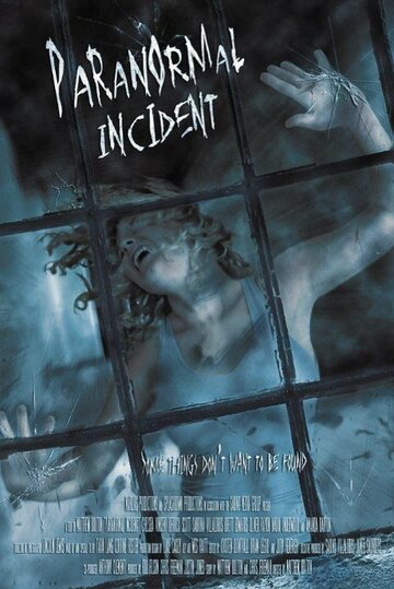 Paranormal Incident (2011)